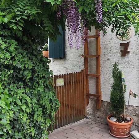 Ferienwohnung Geiernest ออคเซนฟอร์ท ภายนอก รูปภาพ
