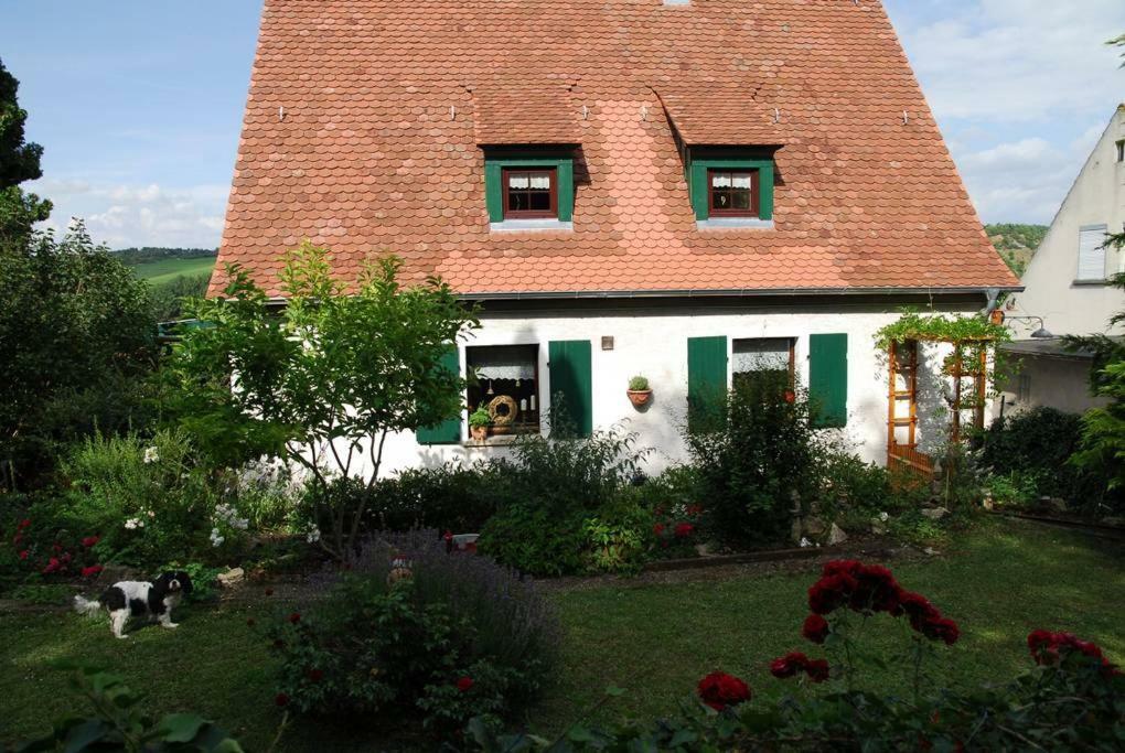 Ferienwohnung Geiernest ออคเซนฟอร์ท ภายนอก รูปภาพ